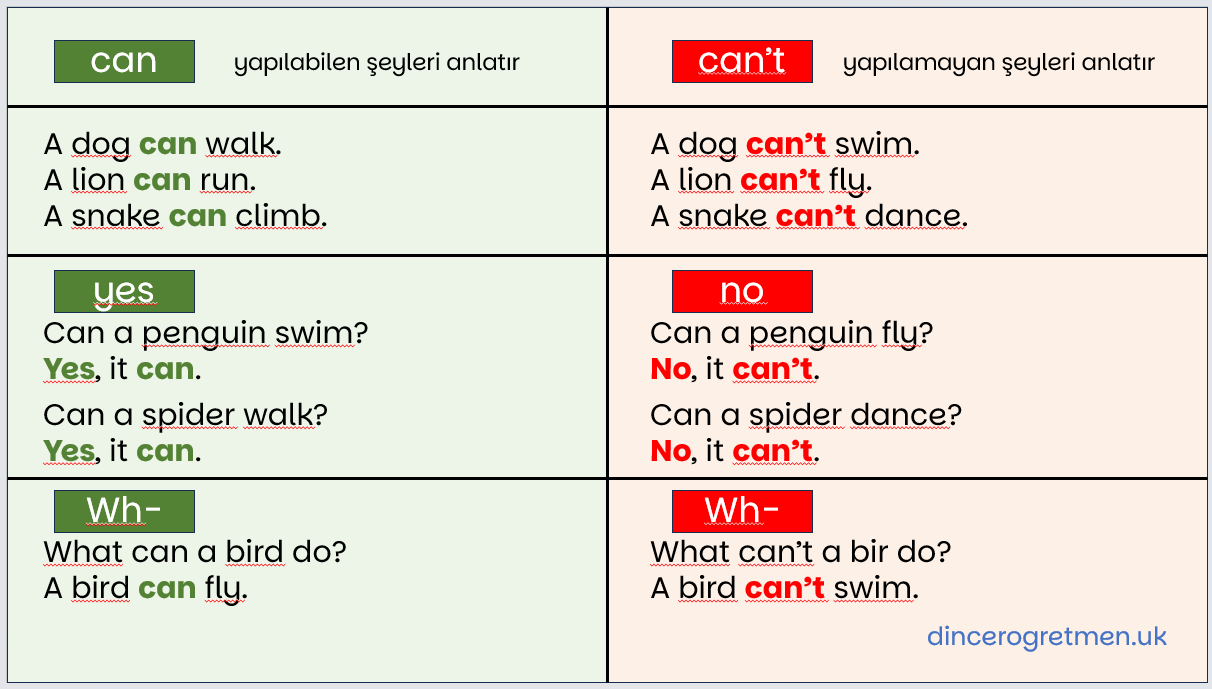 2. Sınıf 10. Ünite (Animals)